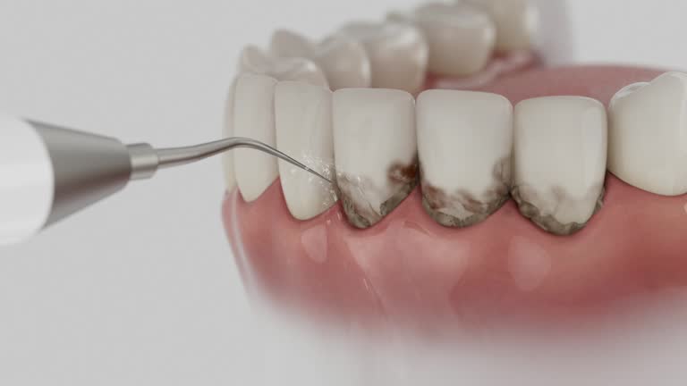 Reliable Dental contractor in Oxford, MI by Dentist Open Now
